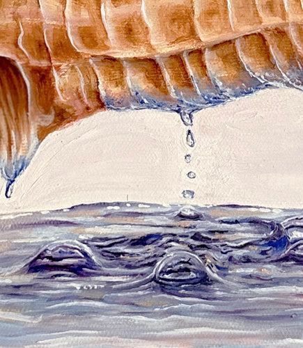 "Seashell Dreams" Original Oil Painting